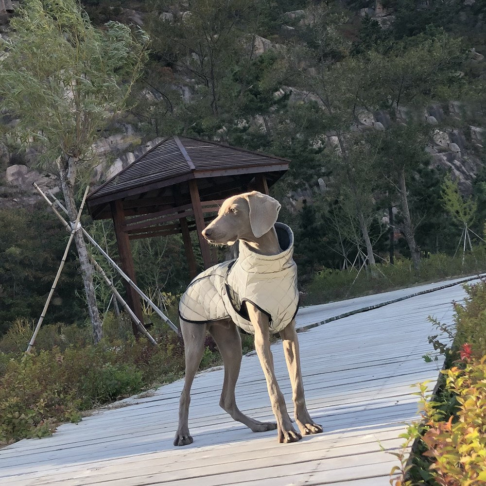 Elevate Your Pet's Style and Safety with Our Full Body Reflective Tactical Jacket
